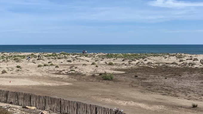 IMG_5752.jpeg